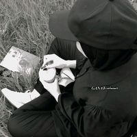 ho.___zz30