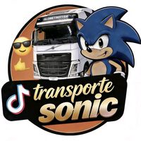 transpostes._.sonic
