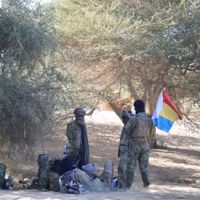 الصوت الأصلي