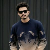 hamzi3456