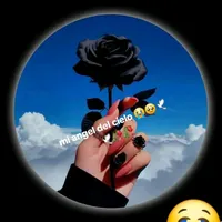 original sound - amor7238