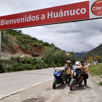 lion_biker24