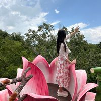 xinru_lerkdachsachsart