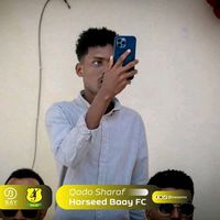 baraf__dizeyna