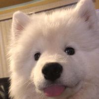 jake.021115