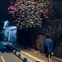 suara asli