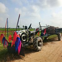 សំឡេងដើម - TEAM