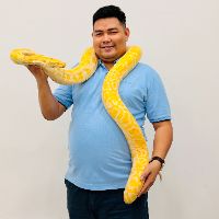 original sound - Sharing By LK