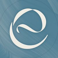 elegant_vn