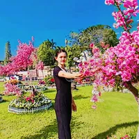 original sound - moth332