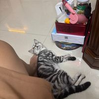 nhạc nền - _Ambii