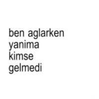 zoktaymm1