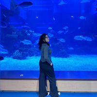 original sound - idk who am i