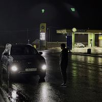 brvnr_60