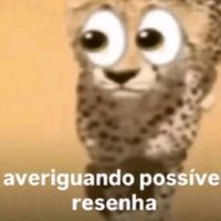 lucasbenicio254