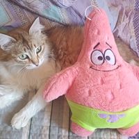 skxwqestrmx.wanderfull