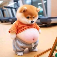 nhạc nền - CAPCUT CHOPER 🎶