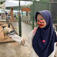 suara asli - ️