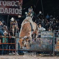 francisco.figuero832