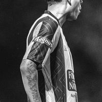 lucianoo_zc