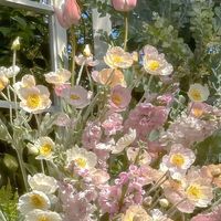 nhạc nền - sunchui