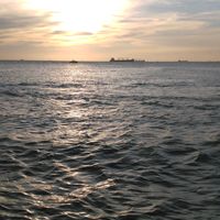 minhhoang_2007