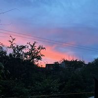 rolitasjr012