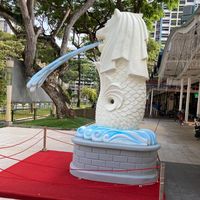 dorothysingapore