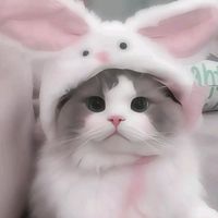 isabel.payandong.daugan