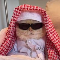 suara asli - GAYO MUSARA🇹🇷