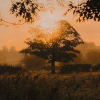 s.edits_pk