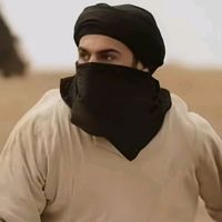 الصوت الأصلي