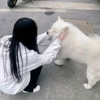 原聲 - 正版_🌷ぃ'生椰拿铁 ̆☕桉叶🥱💕