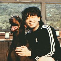 сукиэтомояидея