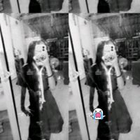 fs_eevkcssee