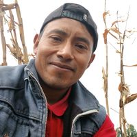 sonido original