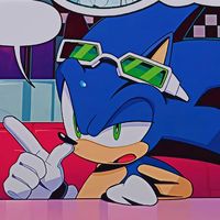 the_sonic_chill_bro