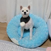 오리지널 사운드 - 널🎶위한🎵멜로디