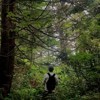 original sound - greenranger403