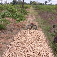 សំឡេងដើម - user4710061511688