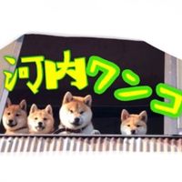 kouchi_wonko