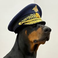 yar_doberman