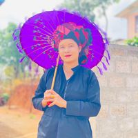seinpay86