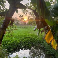 nhạc nền - Lam.hoctap