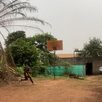 zehmvondo.basket