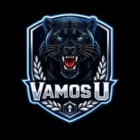 __promo24__