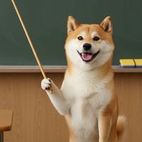 shiba_sakura.job