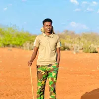 original sound - cabdiyare6518