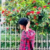 original sound - nurhossain711