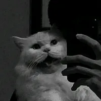 original sound - dark_mood47
